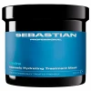 Sebastian Professional Hydre Hydrating Mask | Интенсивно увлажняющая маска для сухих и пушащихся волос 500 мл