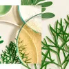 Natura Bissé Tolerance Recovery Cream | Успокаивающий восстанавливающий крем для чувствительной кожи 50 мл
