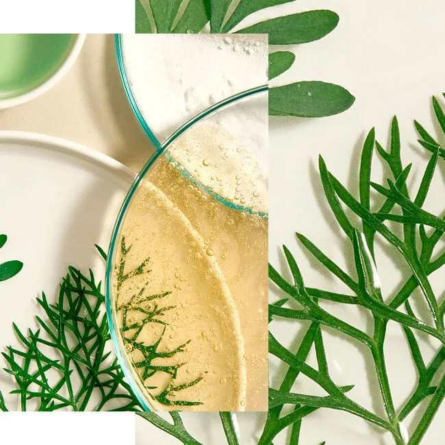Natura Bissé Tolerance Recovery Cream | Успокаивающий восстанавливающий крем для чувствительной кожи 50 мл